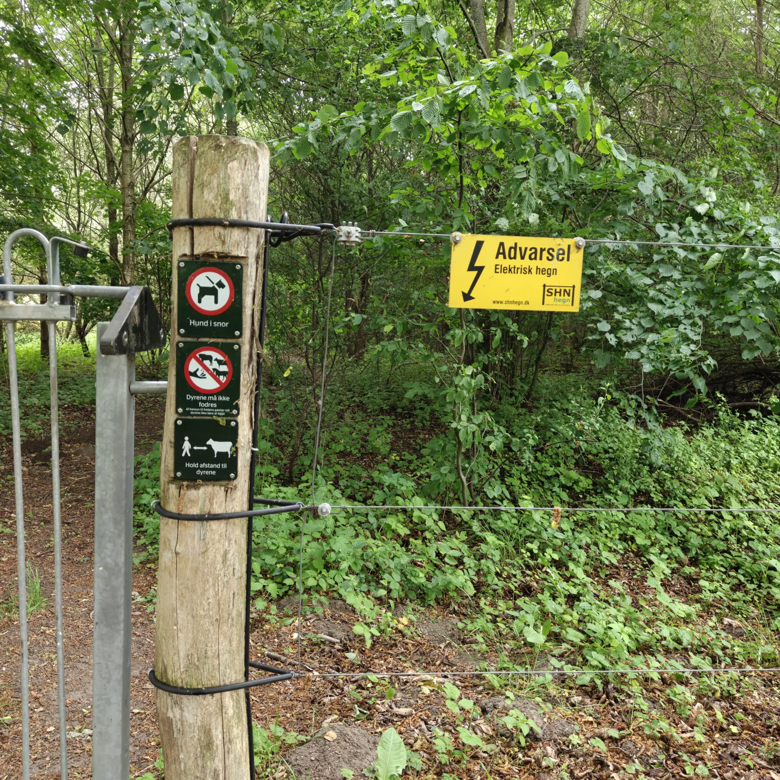 Skovsti med advarselsskilt ved indhegnet område